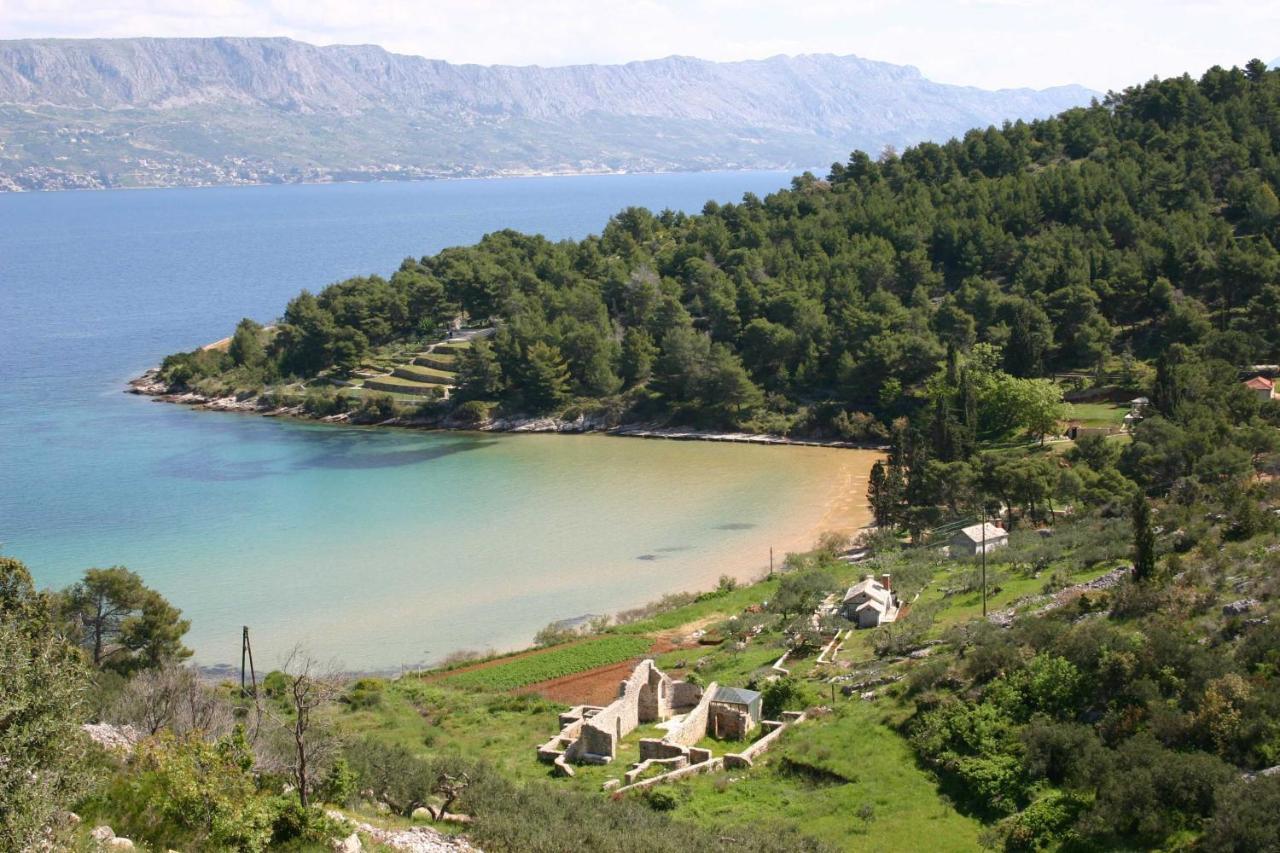Apartma Marija